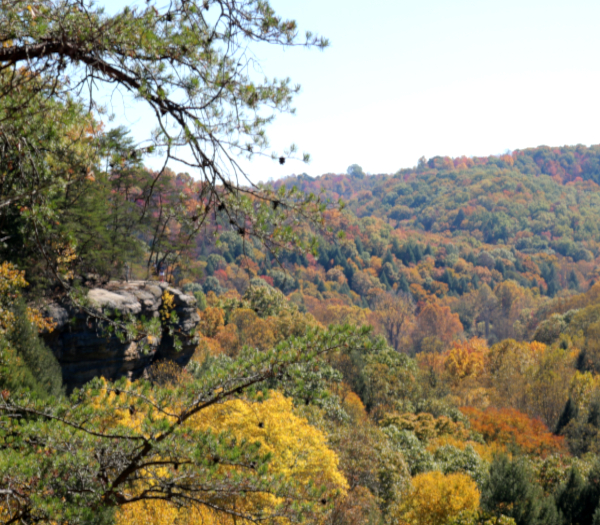 Conkle's Hollow upper trail. 2 mile hike. 