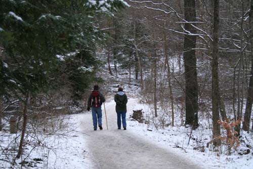 Winter Hike Old Man's Cave: at Forestry