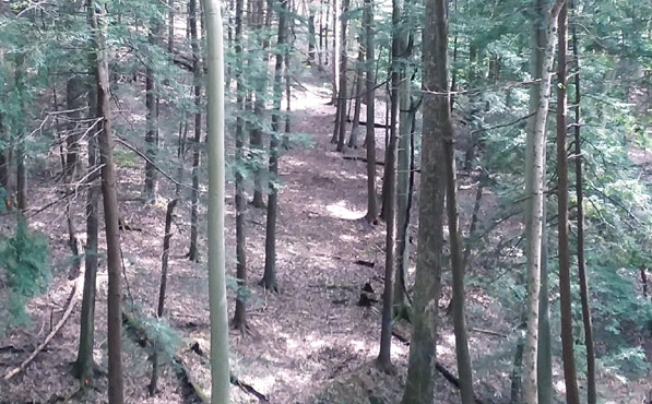 Whispering Cave Disc Golf course