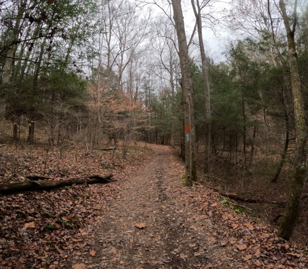 Horseback Riding - Hocking Forest